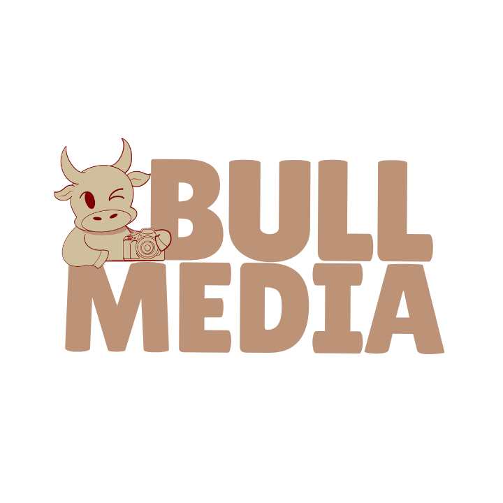 Bull Media Logo