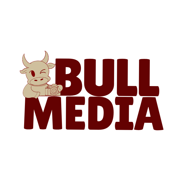 Bull Media logo